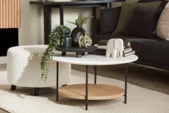 Clearance Bouclair Waterfall Eucalyptus in Black Pot