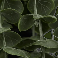 Clearance Bouclair Waterfall Eucalyptus in Black Pot