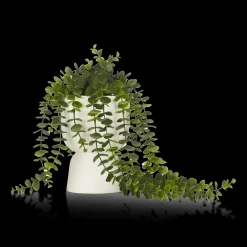Clearance Bouclair Waterfall Eucalyptus in White Hourglass Pot
