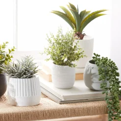 Clearance Bouclair Waterfall Plant in Cement Pot