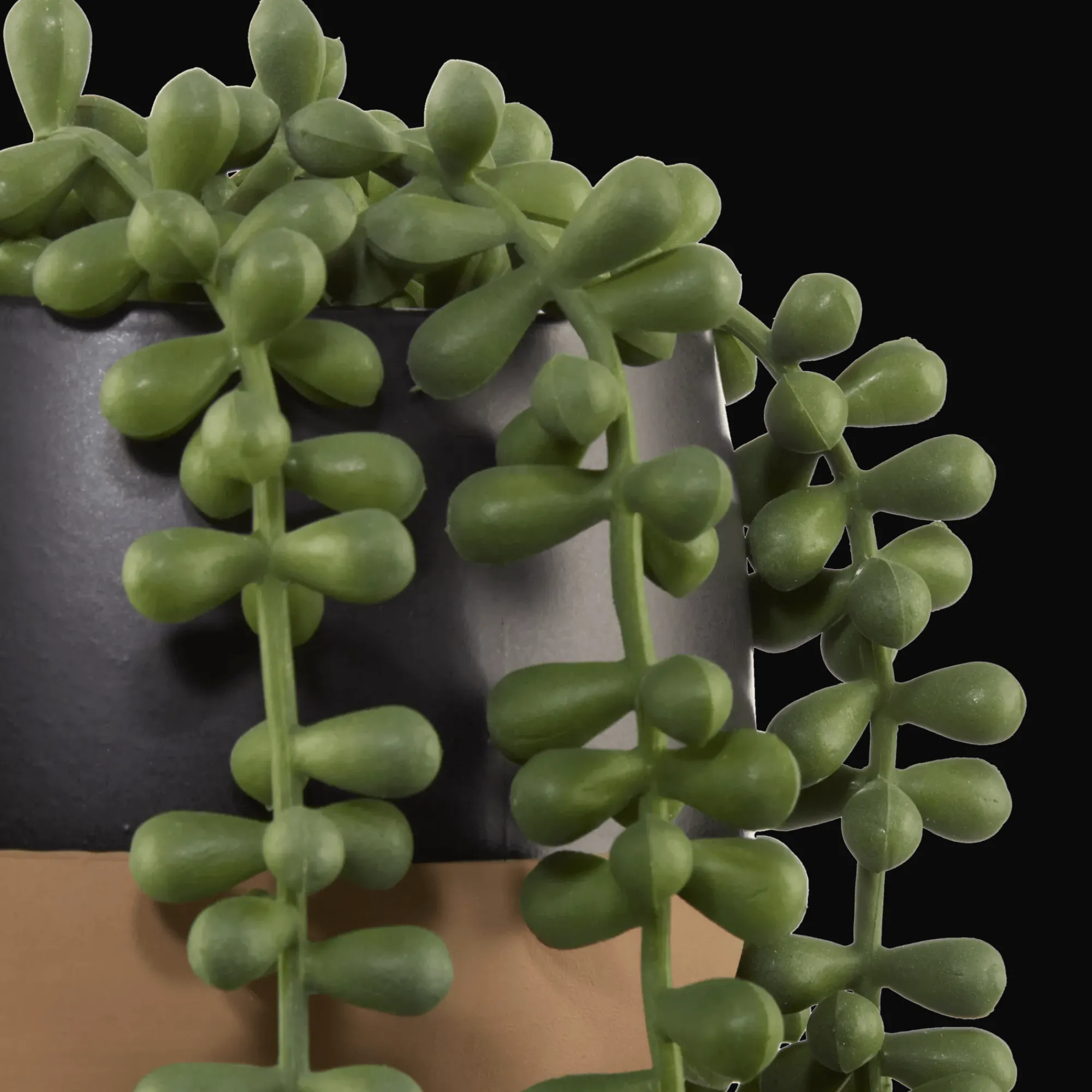 Discount Bouclair Waterfall Plant in Ceramic Pot